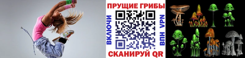 Галлюциногенные грибы мицелий  ссылка на мегу tor  Слободской 